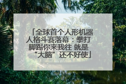 全球首个人形机器人格斗赛落幕：拳打脚踢你来我往 就是“大脑”还不好使