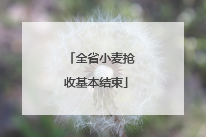 全省小麦抢收基本结束