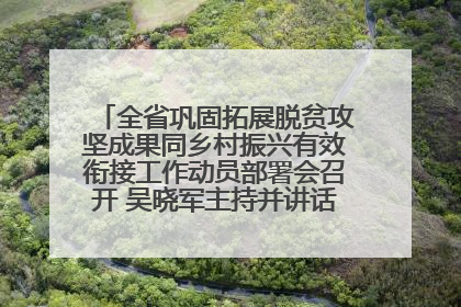 全省巩固拓展脱贫攻坚成果同乡村振兴有效衔接工作动员部署会召开 吴晓军主持并讲话 罗东川作安排部署