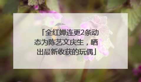 全红婵连更2条动态为陈艺文庆生，晒出最新收获的玩偶