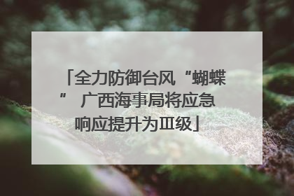 全力防御台风“蝴蝶” 广西海事局将应急响应提升为Ⅲ级