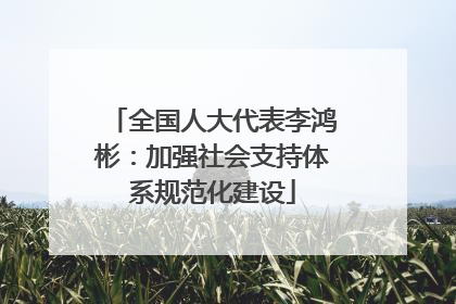 全国人大代表李鸿彬：加强社会支持体系规范化建设