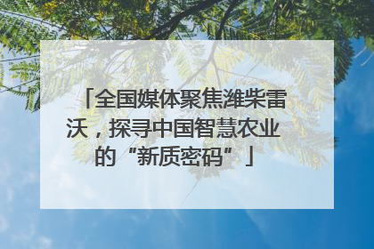 全国媒体聚焦潍柴雷沃，探寻中国智慧农业的“新质密码”