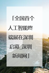 全国首个人工智能终端展在深圳启幕_深圳新闻网