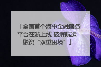 全国首个海事金融服务平台在浙上线 破解航运融资“双重困境”
