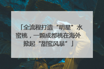 全流程打造“明星”水蜜桃，一颗成都桃在海外掀起“甜蜜风暴”