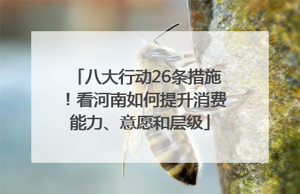 八大行动26条措施！看河南如何提升消费能力、意愿和层级