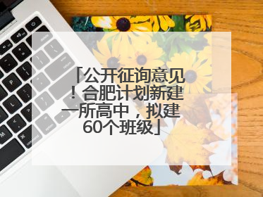 公开征询意见！合肥计划新建一所高中，拟建60个班级