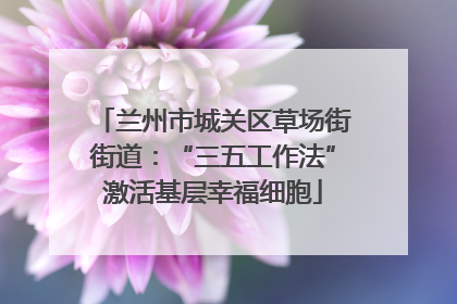 兰州市城关区草场街街道：“三五工作法”激活基层幸福细胞