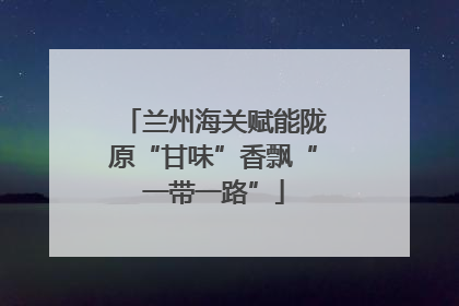 兰州海关赋能陇原“甘味”香飘“一带一路”