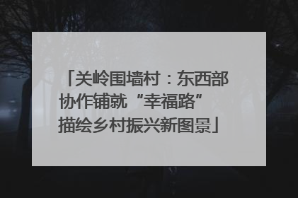 关岭围墙村：东西部协作铺就“幸福路” 描绘乡村振兴新图景