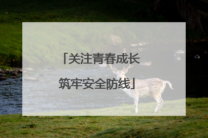 关注青春成长 筑牢安全防线