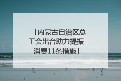 内蒙古自治区总工会出台助力提振消费11条措施