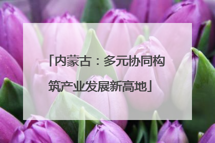 内蒙古：多元协同构筑产业发展新高地