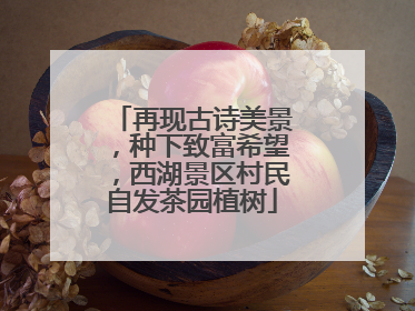 再现古诗美景，种下致富希望，西湖景区村民自发茶园植树