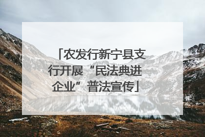 农发行新宁县支行开展“民法典进企业”普法宣传