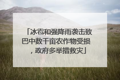 冰雹和强降雨袭击致巴中数千亩农作物受损，政府多举措救灾