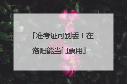 准考证可别丢！在洛阳能当门票用