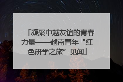 凝聚中越友谊的青春力量——越南青年“红色研学之旅”见闻