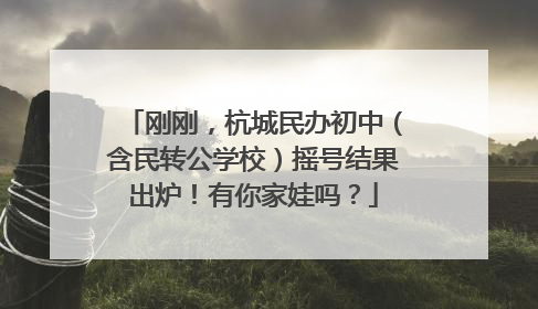 刚刚，杭城民办初中（含民转公学校）摇号结果出炉！有你家娃吗？