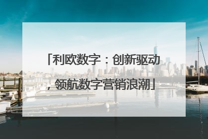 利欧数字：创新驱动，领航数字营销浪潮