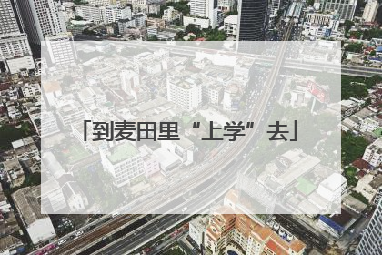 到麦田里“上学”去