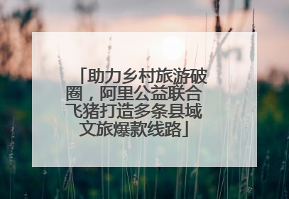 助力乡村旅游破圈，阿里公益联合飞猪打造多条县域文旅爆款线路