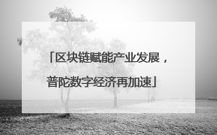 区块链赋能产业发展，普陀数字经济再加速