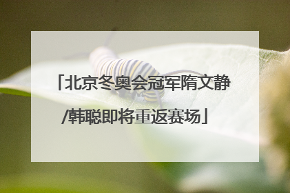 北京冬奥会冠军隋文静/韩聪即将重返赛场