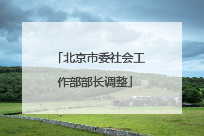北京市委社会工作部部长调整