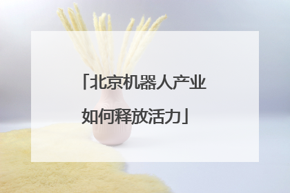 北京机器人产业如何释放活力