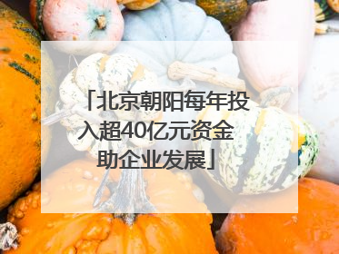 北京朝阳每年投入超40亿元资金助企业发展