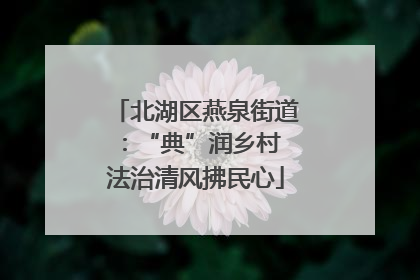 北湖区燕泉街道：“典”润乡村 法治清风拂民心