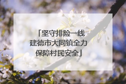 坚守排险一线 建德市大同镇全力保障村民安全