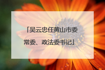 吴云忠任黄山市委常委、政法委书记