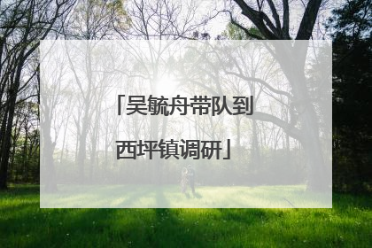 吴毓舟带队到西坪镇调研
