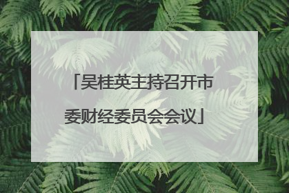 吴桂英主持召开市委财经委员会会议