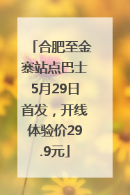 合肥至金寨站点巴士5月29日首发，开线体验价29.9元