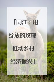同江：用绽放的玫瑰 推动乡村经济振兴