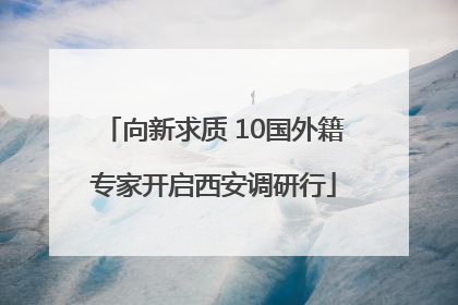 向新求质 10国外籍专家开启西安调研行
