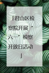 君山区检察院开展“六一”检察开放日活动