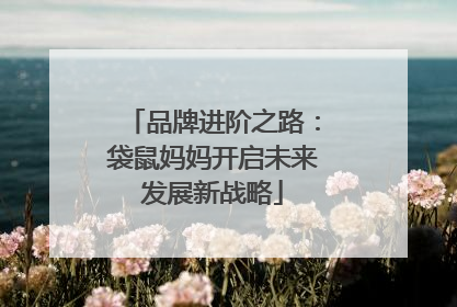 品牌进阶之路：袋鼠妈妈开启未来发展新战略