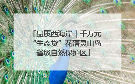 品质西海岸｜千万元“生态贷”花落灵山岛省级自然保护区