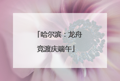 哈尔滨：龙舟竞渡庆端午