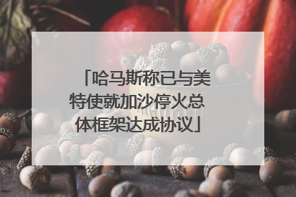 哈马斯称已与美特使就加沙停火总体框架达成协议