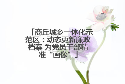 商丘城乡一体化示范区：动态更新廉政档案 为党员干部精准“画像”