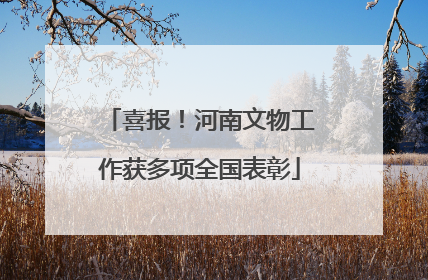 喜报！河南文物工作获多项全国表彰