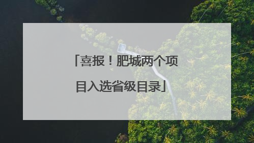 喜报！肥城两个项目入选省级目录