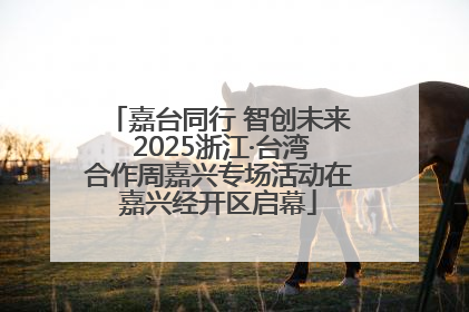 嘉台同行 智创未来 2025浙江·台湾合作周嘉兴专场活动在嘉兴经开区启幕