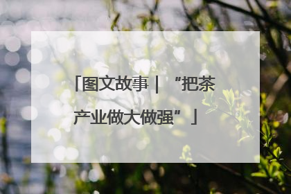 图文故事｜“把茶产业做大做强”